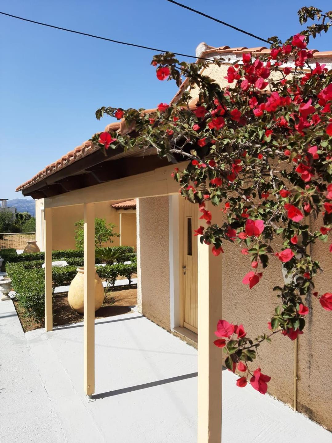 Aroma Studios Argostoli  Exterior foto